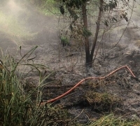 Tiga tersangka dtetapkan Polda Riau pasca kebakaran lahan di Pekanbaru 