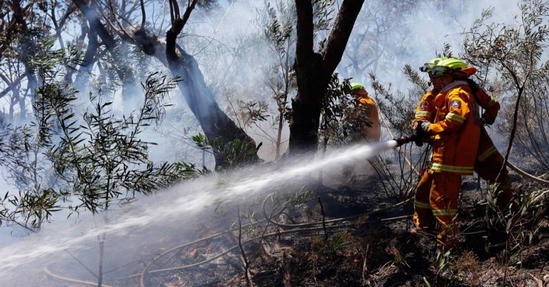 Helikopter BNPB Belum Datang, Plt Gubernur Riau Wajibkan Perusahaan Bantu Penanggulangan Karhutla Sumber Gambar : Okezone.com