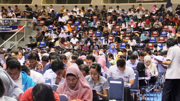 Penerimaan CPNS 2018 Dibuka Usai Pilkada, untuk Posisi Apa Saja?