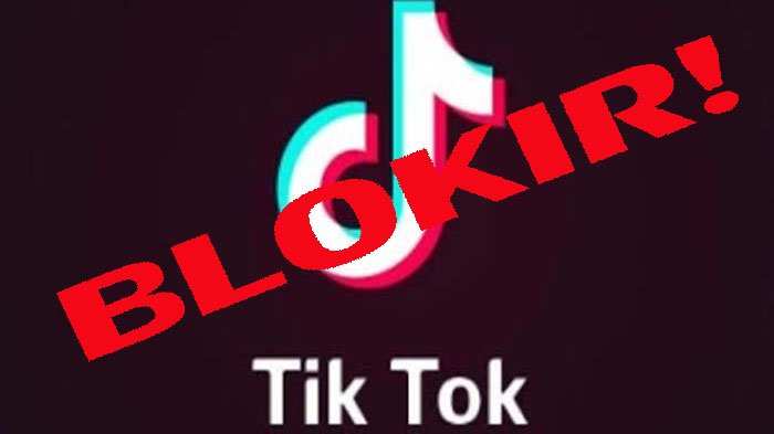 Dampak Penggunaan Tik Tok Bagi Anak dan Remaja