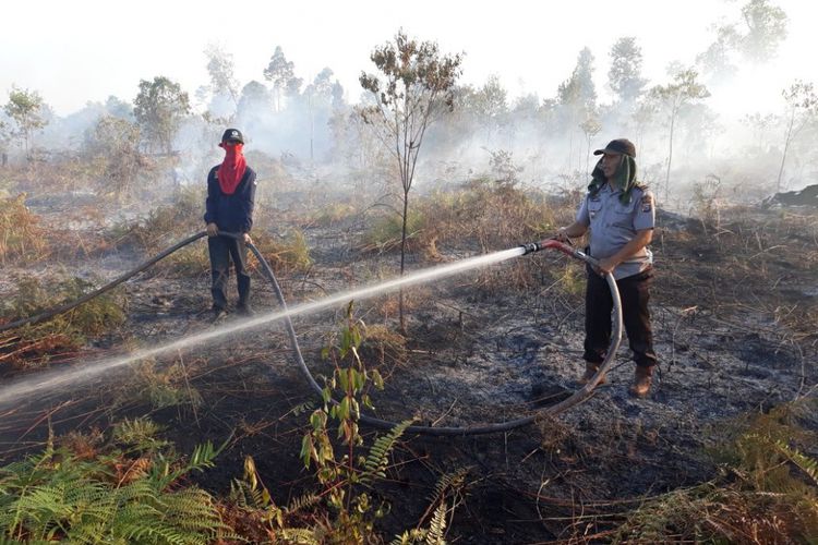 Sumber Foto : Kompas.com