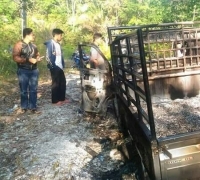 Maling Kerbau Tewas di Hajar Massa, Mobilnya Hangus Terbakar