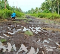 Tunas Muda Pelalawan minta Pemprov Riau serius bangun Jalan Lintas Bono