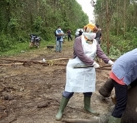 Lagi-lagi, Gajah Sumatera Mati di Konsesi PT. Arara Abadi