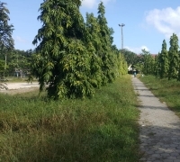 Taman PCR Kurang Terawat, ini Harapan DPRD Pekanbaru 