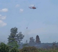Karhutla di Rupat, 20 hektare lahan gambut habis terbakar