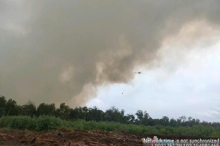 Kebakaran lahan di Kampung Bunsur Siak, Riau. (ANTARA/HO-Sinarmas via TEMPO.CO)