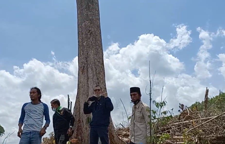 Tim Lembaga Adat Melayu Riau (LAMR) Kabupaten Pelalawan di lokasi Kepungan Sialang (Istimewa)