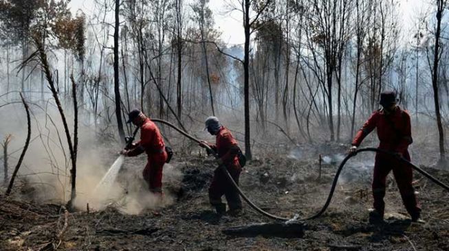 Sejumlah petugas BBKSDA Riau mencoba memadamkan kebakaran di kawasan Suaka Margasatwa Giam Siak Kecil, Kabupaten Bengkalis, Provinsi Riau, Selasa (2/3/2021). [Antara Foto/BBKSDA Riau via Suara.com)