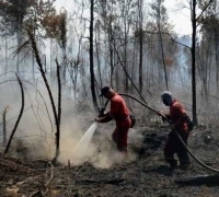 Sebut Karhutla Pengalih Isu Narkoba, Wagubri: Perketat Razia!