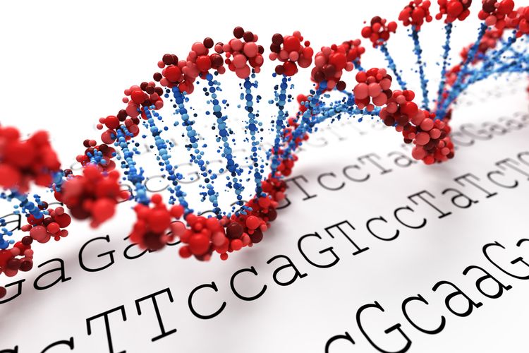 Di 5 Provinsi Ini Terdeteksi Mutasi Virus Corona B.1.1.7 Ilustrasi pengurutan genom (genome sequencing) virus corona. Ilmuwan Australia mengembangkan teknologi pengurutan genom yang lebih cepat melacak Covid-19.(SHUTTERSTOCK/Leigh Prather/Kompas.com)