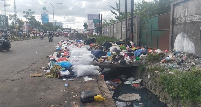 Agus Pramono Dinonaktifkan, Roni Pasla Sebut Walikota dan Kadis LHK Tak Lagi Sejalan