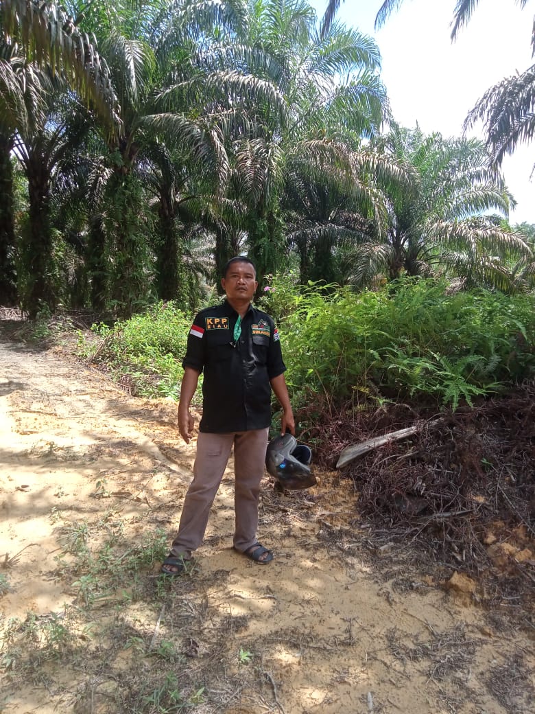 Dok. Foto. Lokasi Kebun Sawit 2.500 Hektar 