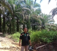 Gerlamata Siapkan 500 Orang Relawan Aksi Jahit Mulut, Presiden Joko Widodo Harus Turun Tangan