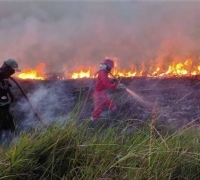 Pertama di Riau, Dumai Ditetapkan Status Siaga Darurat Karhutla